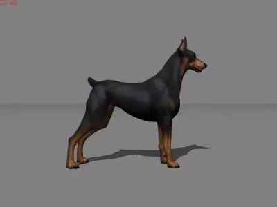 Hound Dog Animal  Low-poly 3D model