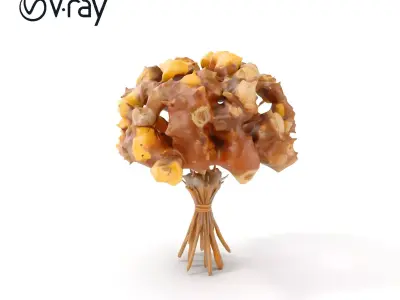 Elegant Dried Flower Bouquet Model Pack for Visualizations Low-poly 3D model