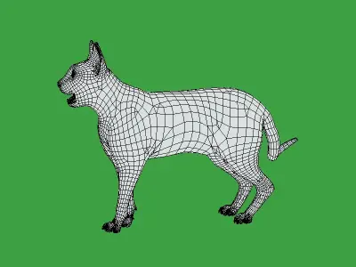 Devon Rex Cat Low-poly 3D model