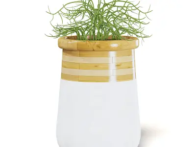 Plant 3D Model in Large Modern Pot 3D model