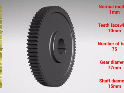 Cylindrical gear - paired - z75 m1 D77 d15 3D print model