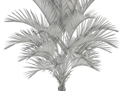 Plants collection 95 3D model