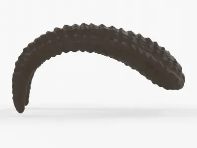 Large Curved Horns - Lauren 3D print model
