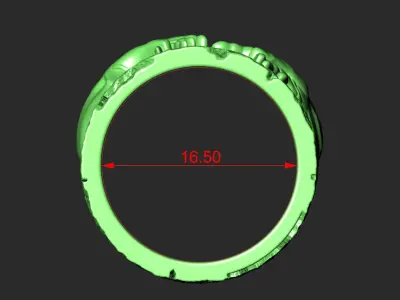 SET OF 13 SIZES  WEDDING RINGS THE CREATION OF ADAM 3D print model