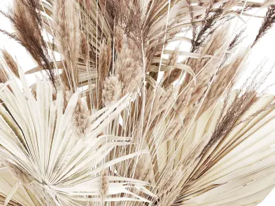 Bouquet Dried Flowers From White Pampas Branches vase 555 3D model