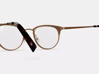 Blair Eyeglasses in Rose Gold 3D model
