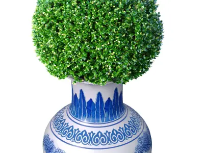 An ornamental plant in a Chinese vase a pot a flowerpot 3D model