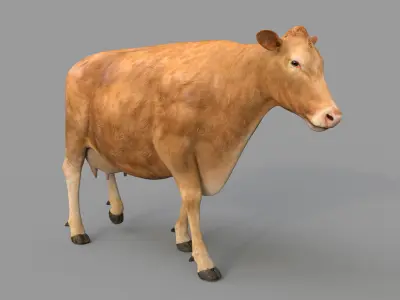Cow PRO - 3 in 1 Bundle 3D model