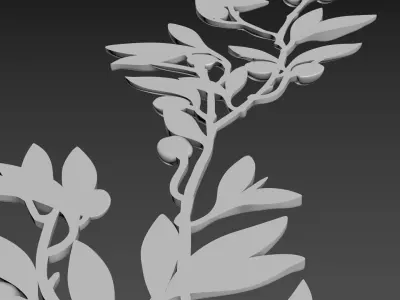 Olive Branch 3D model
