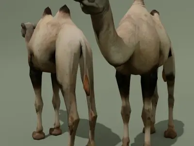 LowPoly Camel 3D model