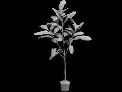 Faux Fiddle Leaf Fig Tree 7 3D model