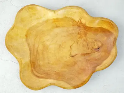 Teak Wood Wave Plate 3D model