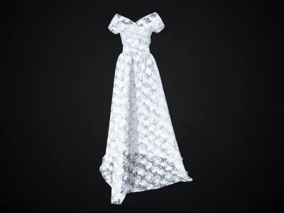 Lace Matreial Texture