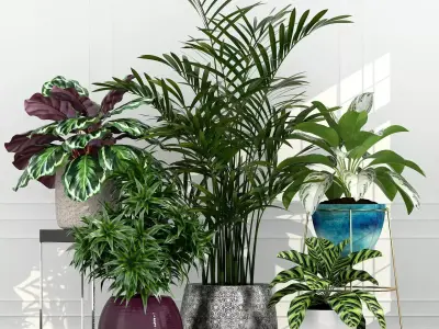 Plants collection 54 3D model