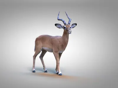 Impala RIG Xgen Core 3D model