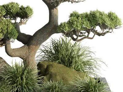 indoor plant set013 3D model