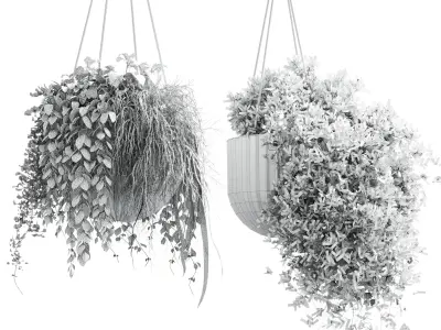 Plants hanging with flowers pots  indoor plant 273 3D model