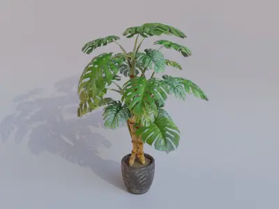 Monstera Plant with Plant Pot Low-poly 3D model