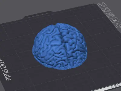 Brain Cap as headgear for the Skull stand and wall lamps 3D print model