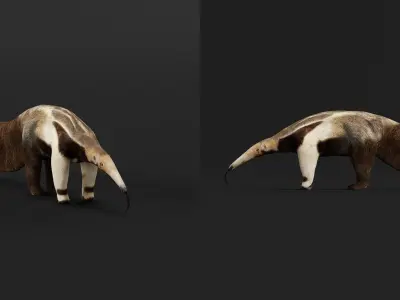 Giant Anteater Low-poly 3D model