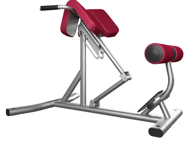 Lifefitness Signature Series Back Extension 3D model