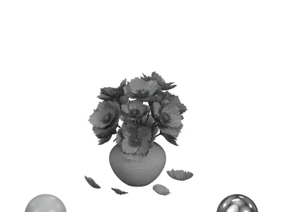 Flower White Poppies 3D model