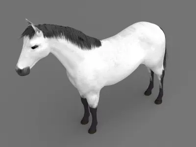 White Horse 4K 3D model