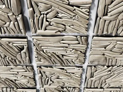 Rectangle  panel branch splinter Big n6 3D model