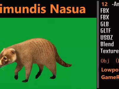 Coatis  Coatimundis Nasus Low-poly 3D model