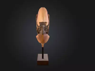 Wooden Fish Sculpture Low-poly 3D model