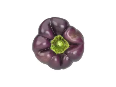 Photorealistic Tequila Bell Pepper 3D Scan 3D model