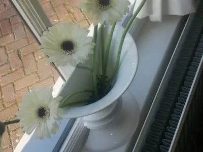Flower Arrangement Accessory Free 3D print model