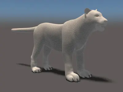 White Tiger High Poly and Low Poly Low-poly 3D model