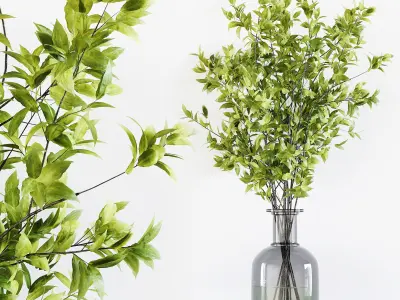 Collection Indoor Plants 029 3D model