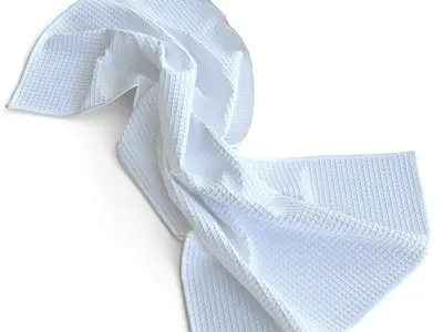 ZARA Home Decor Collection 3D model