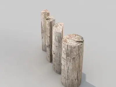 Firewood Nature 3D model
