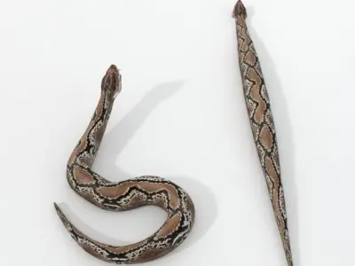Python Snake Low-poly 3D model
