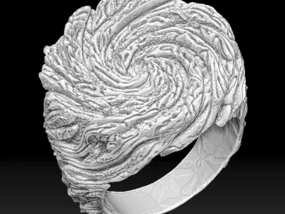 Vortex Ring 3D print model