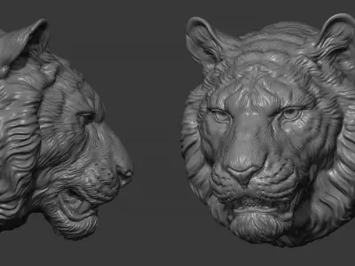 Tiger toothy 3D print model