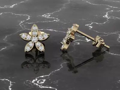 Jewelry Earring 3D print model