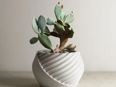 pot collection a14 5 pots