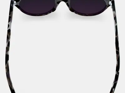 Leta Sunglasses in Black Currant Tortoise 3D model