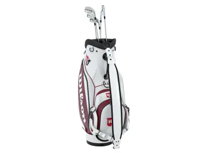 Wilson Golf Bag White Low-poly 3D model