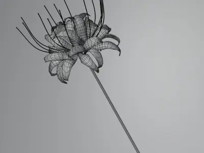 Lycoris Free low-poly 3D model