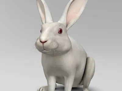 Rabbit - White 3D model