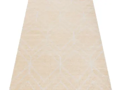 Rug Set 2203 3D model