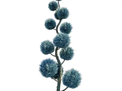 Cypress - Cupressus Arizonica Spiral Pom Pom 3D model
