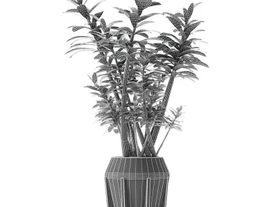 Collections Plants 02 3D model