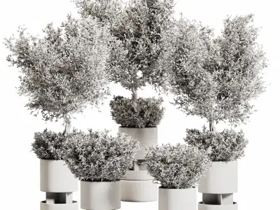 Indoor plant stant 79 3D model