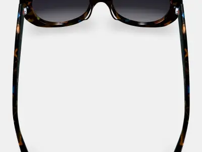 Rosetta Sunglasses in Amalfi Tortoise 3D model